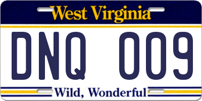 WV license plate DNQ009