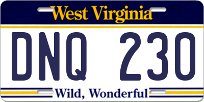 WV license plate DNQ230