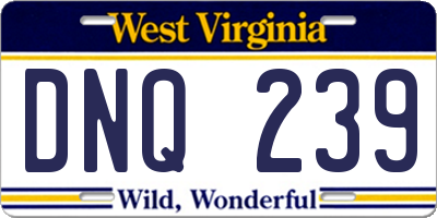 WV license plate DNQ239