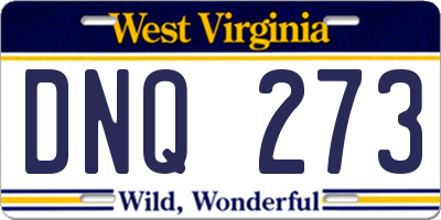 WV license plate DNQ273