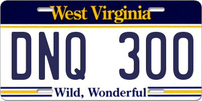 WV license plate DNQ300