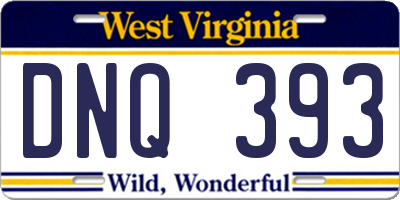WV license plate DNQ393