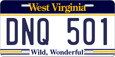 WV license plate DNQ501