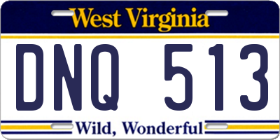 WV license plate DNQ513