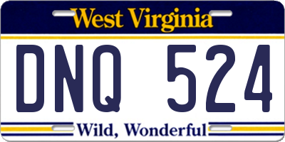 WV license plate DNQ524