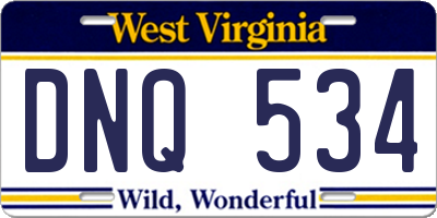 WV license plate DNQ534