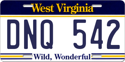 WV license plate DNQ542