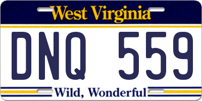 WV license plate DNQ559