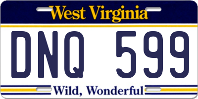 WV license plate DNQ599