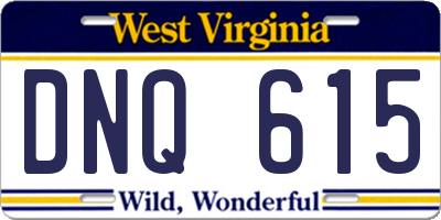 WV license plate DNQ615