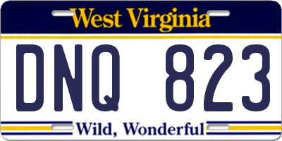 WV license plate DNQ823