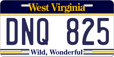 WV license plate DNQ825
