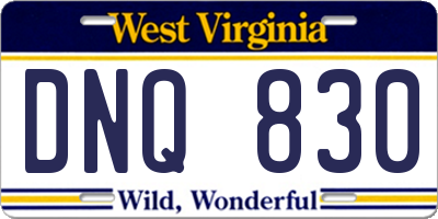 WV license plate DNQ830