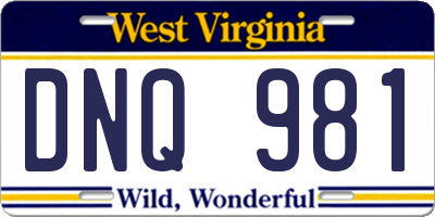 WV license plate DNQ981