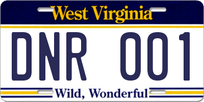 WV license plate DNR001