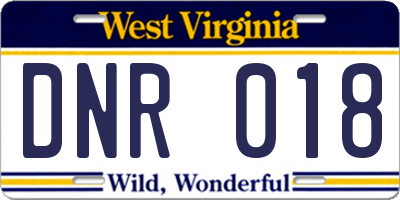 WV license plate DNR018