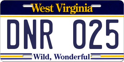 WV license plate DNR025