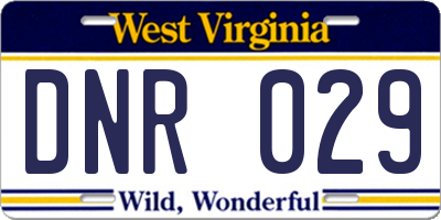 WV license plate DNR029