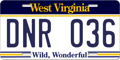 WV license plate DNR036