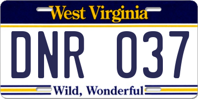 WV license plate DNR037