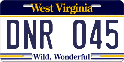 WV license plate DNR045