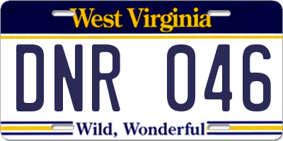 WV license plate DNR046