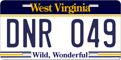 WV license plate DNR049