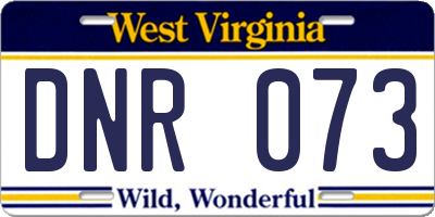 WV license plate DNR073