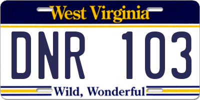 WV license plate DNR103
