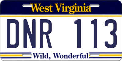 WV license plate DNR113