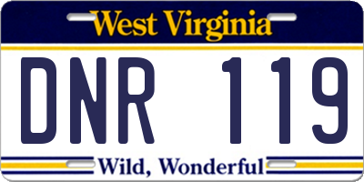 WV license plate DNR119