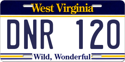 WV license plate DNR120