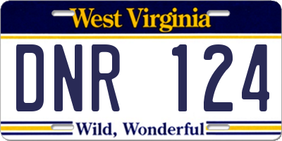 WV license plate DNR124