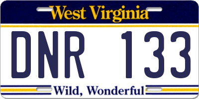 WV license plate DNR133