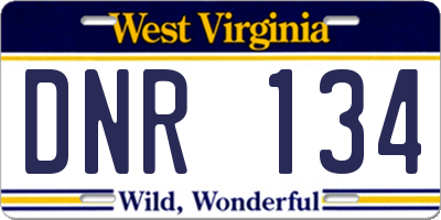 WV license plate DNR134