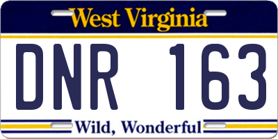 WV license plate DNR163