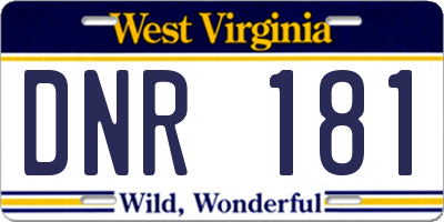 WV license plate DNR181