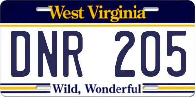 WV license plate DNR205
