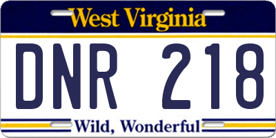 WV license plate DNR218