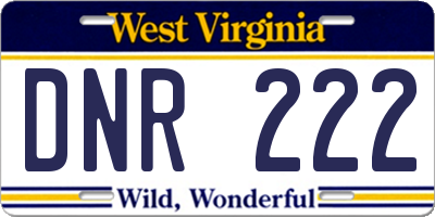 WV license plate DNR222