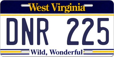 WV license plate DNR225