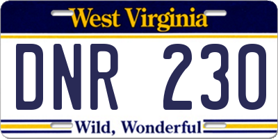 WV license plate DNR230