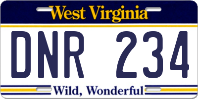 WV license plate DNR234