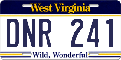 WV license plate DNR241