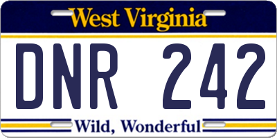 WV license plate DNR242