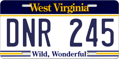 WV license plate DNR245