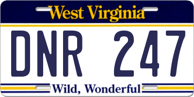WV license plate DNR247