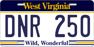 WV license plate DNR250