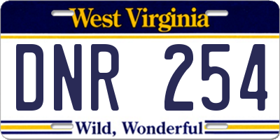 WV license plate DNR254