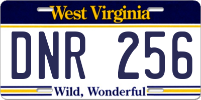 WV license plate DNR256